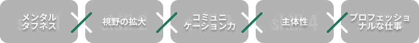 メンタルタフネス 視野の拡大 コミュニケーション力 主体性 プロフェッショナルな仕事