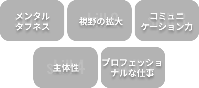 メンタルタフネス 視野の拡大 コミュニケーション力 主体性 プロフェッショナルな仕事