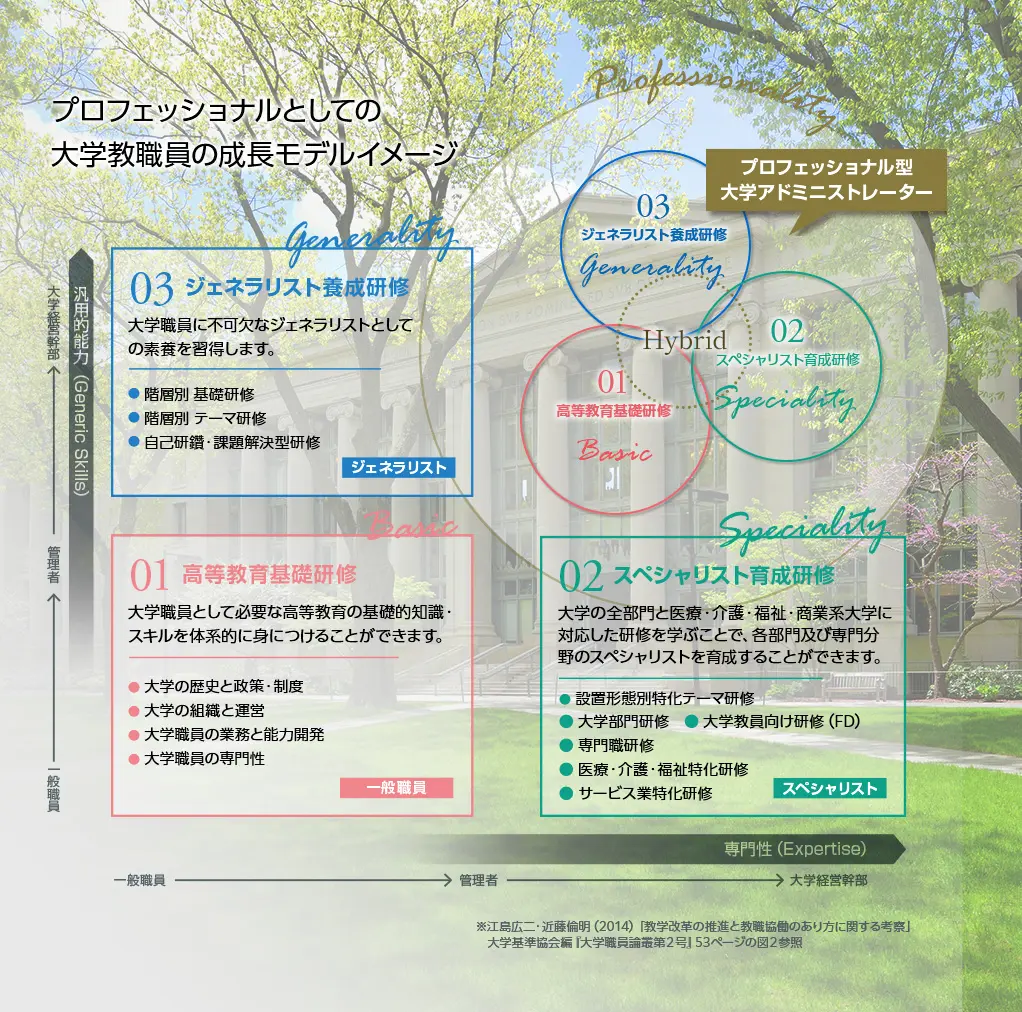 プロフェッショナルとしての大学教職員の成長モデルイメージ